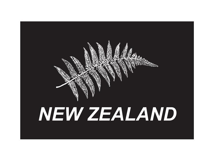 Buy NEW ZEALAND FERN FLAG in New Zealand