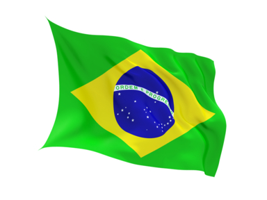 Buy BRAZIL FLAG in New Zealand