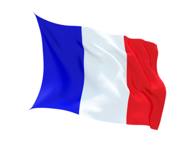 Buy FRANCE FLAG in New Zealand