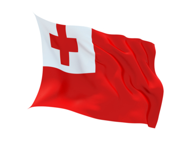 Buy TONGA FLAG in New Zealand