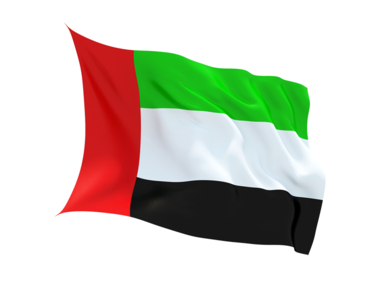 Buy UNITED ARAB EMIRATES FLAG in New Zealand