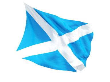 Buy SCOTLAND FLAG - SAINT ANDREWS CROSS FLAG in New Zealand
